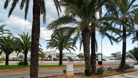 Promenade by the port